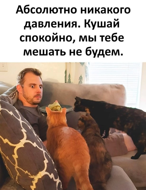 Доброе утро