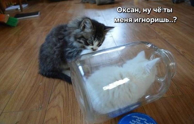 Доброе утро красавица...)