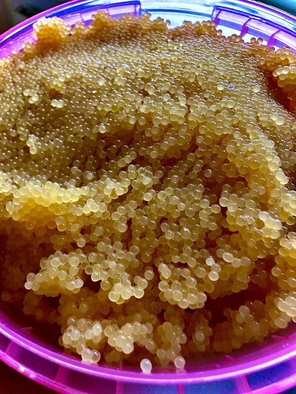 Теперь только ее пора настаёт.)