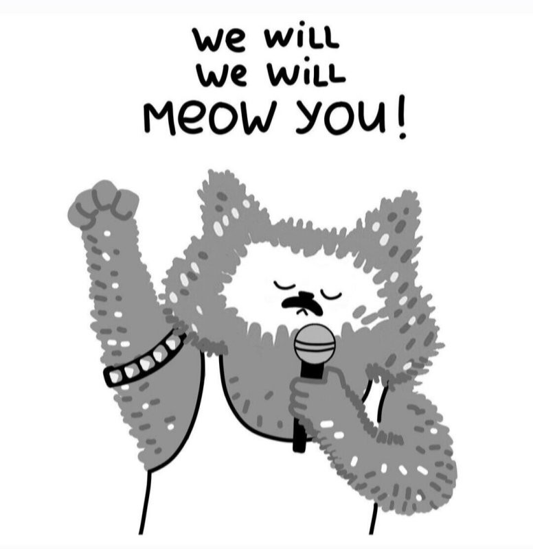 Солянка от 06.12.2025