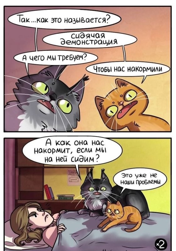 Солянка от 07.12.2025