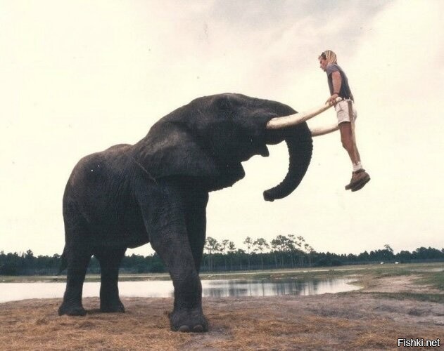 Солянка от 08.12.2025