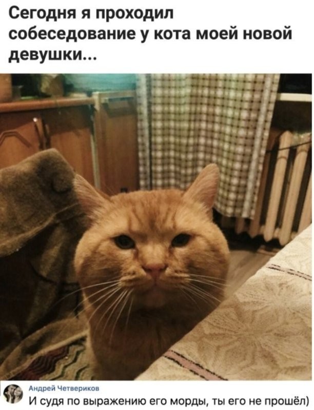 Солянка от 08.12.2025