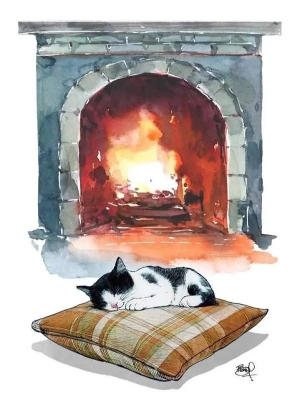 Солянка от 08.12.2025