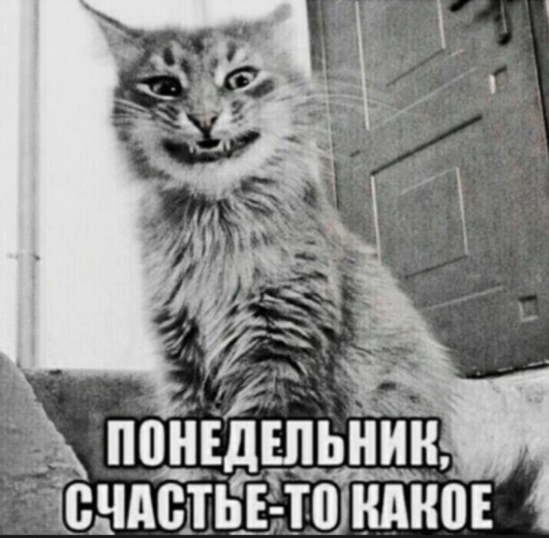 Солянка от 08.12.2025