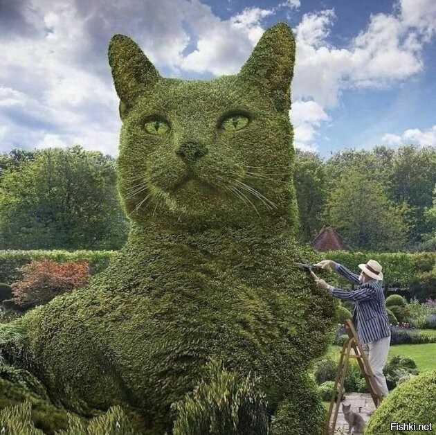 Солянка от 10.12.2025