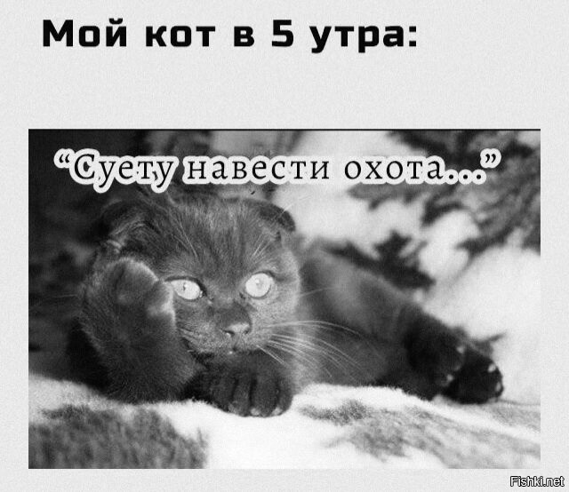 Доброе утро