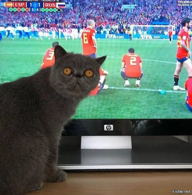 Опасный момент ..? )))