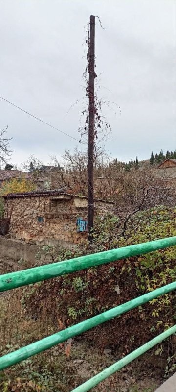 Товарещч прислал