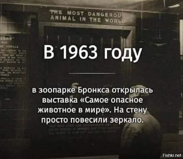 Солянка от 11.12.2025