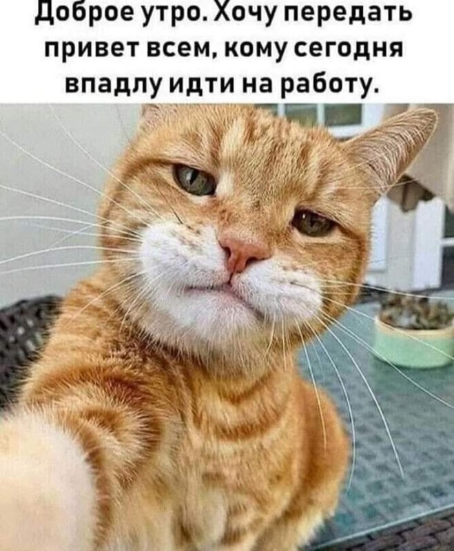 Доброе утро