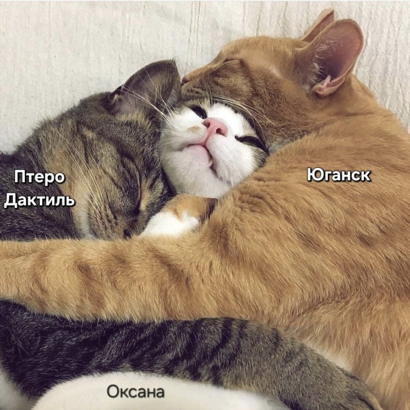 Спокойной ночи красавица...
Мы же как семья...
А в семье не без урода...
Ну вот и я такой, среди вас коасивых..