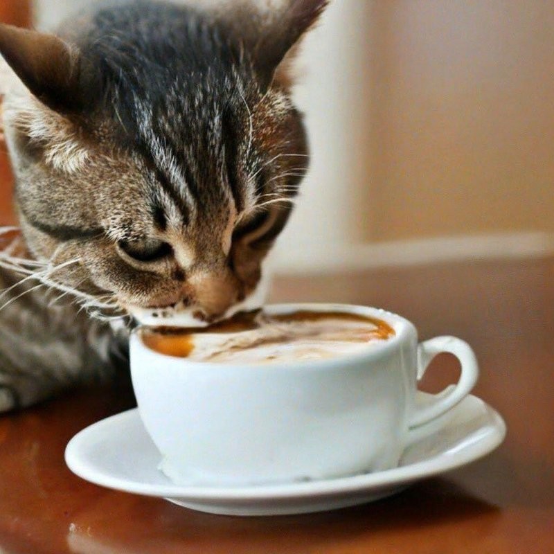 Доброго утра