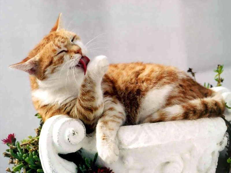 Доброе утро