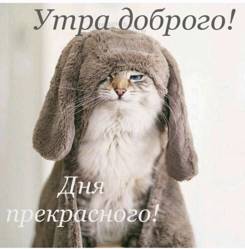 Доброго утра