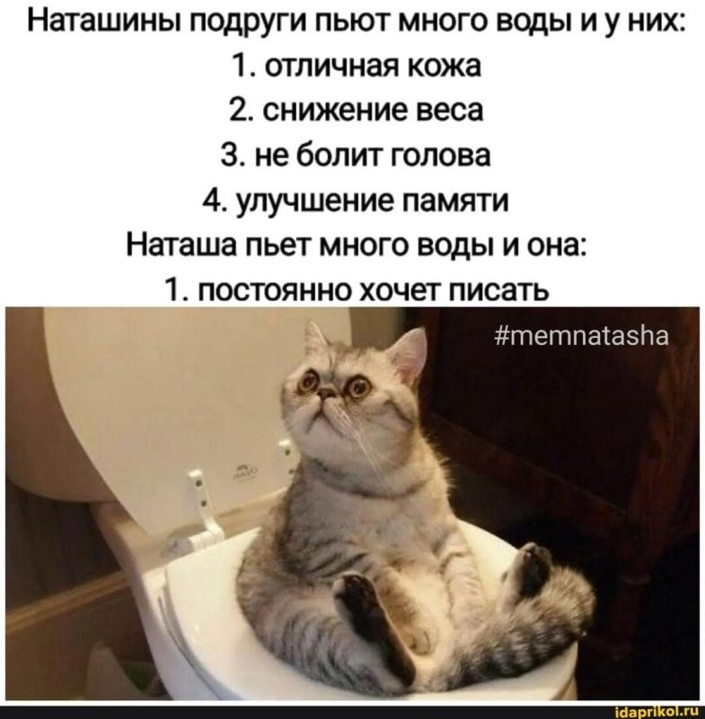 Специалисты отмечают, что одно из важнейших правил — обеспечить питомцу посто...
