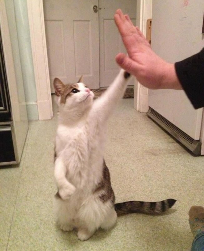 Доброе утро
