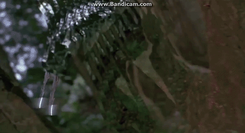 Солянка от 24.12.2025