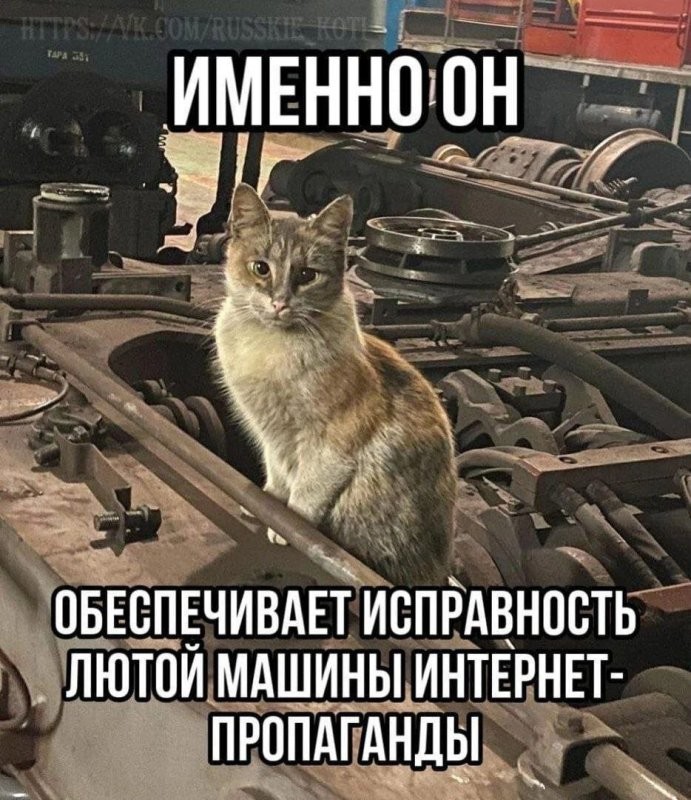 Солянка от 27.12.2025