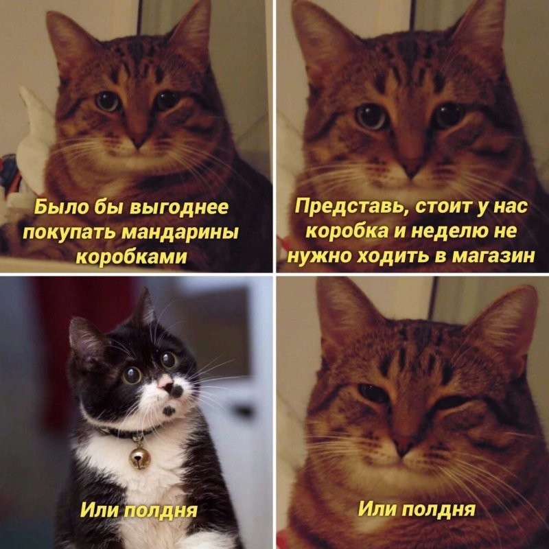 Не в первый раз