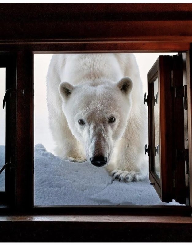 Доброе утро