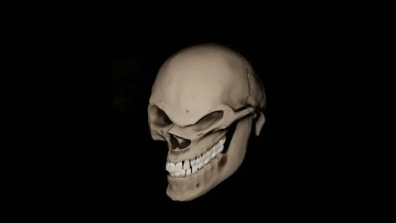 Нет кожи - нет морщин.