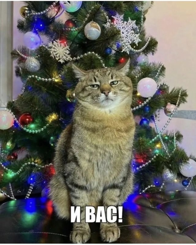 Большое спасибо !