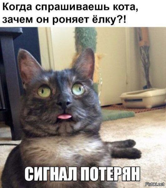 Доброго утра