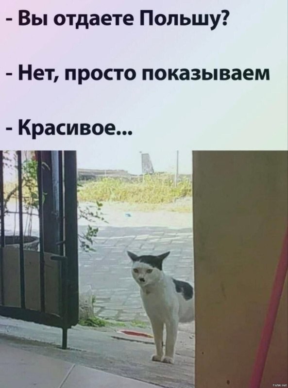 Солянка от 02.01.2026