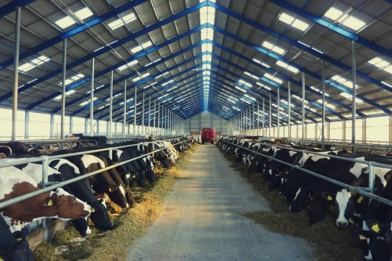 Солянка от 02.01.2026