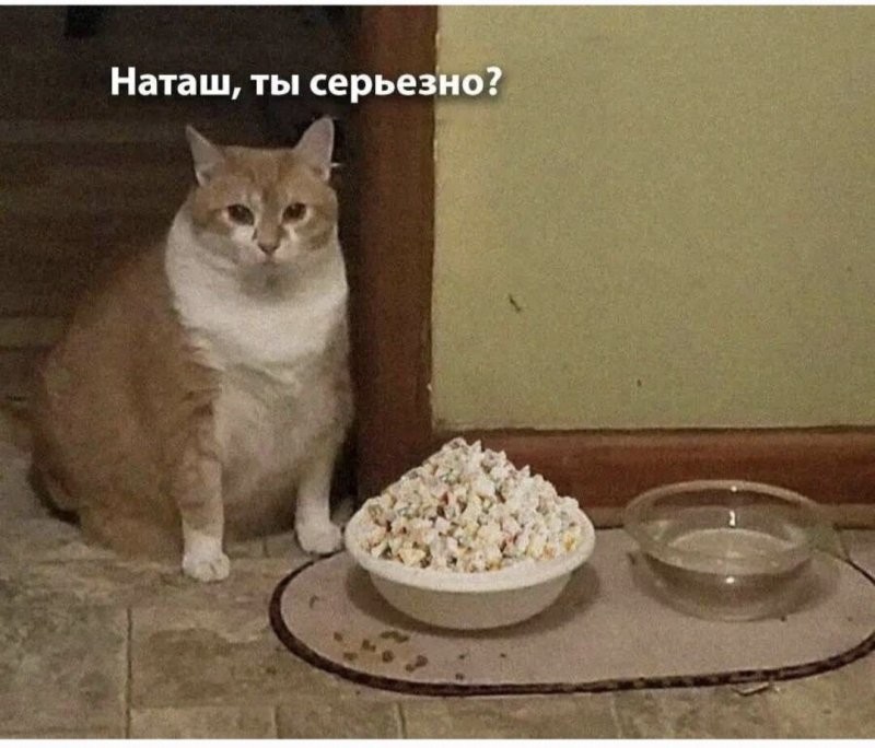 Солянка от 02.01.2026