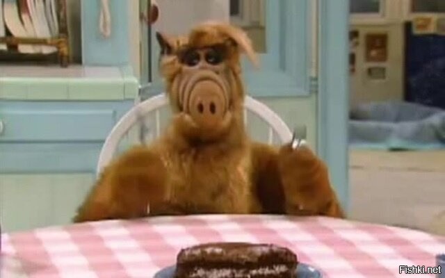 Солянка от 03.01.2026