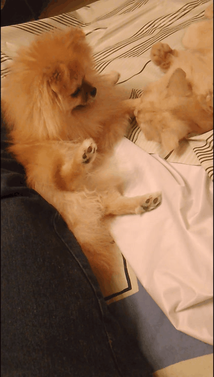 Позитивное)