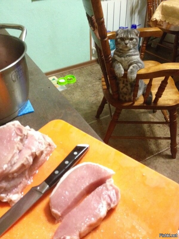 Доброе утро