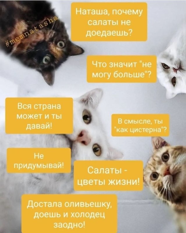 Солянка от 04.01.2026