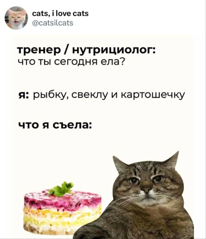 Солянка от 04.01.2026