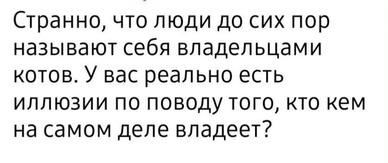 Солянка от 07.01.2026