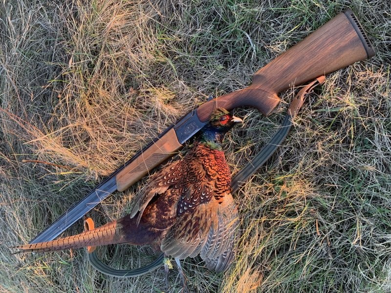 Вот на Ижаке ложа с предыдущего полена - моя работа. Цевье ушатал. Сейчас в работе.