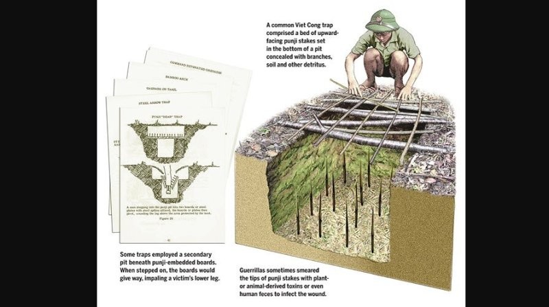 Зона отчуждения для котов 