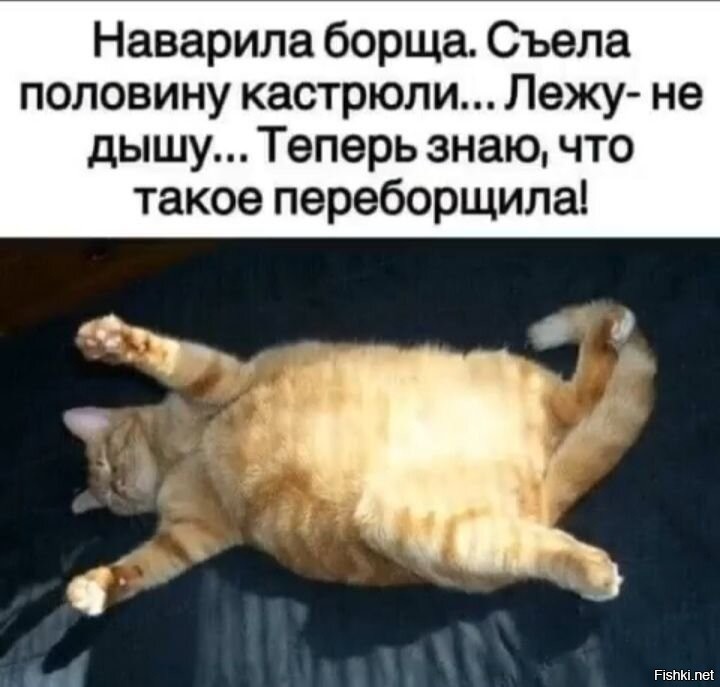 Солянка от 08.01.2026