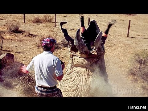 Повезло, а мог бы и такой вылезти....