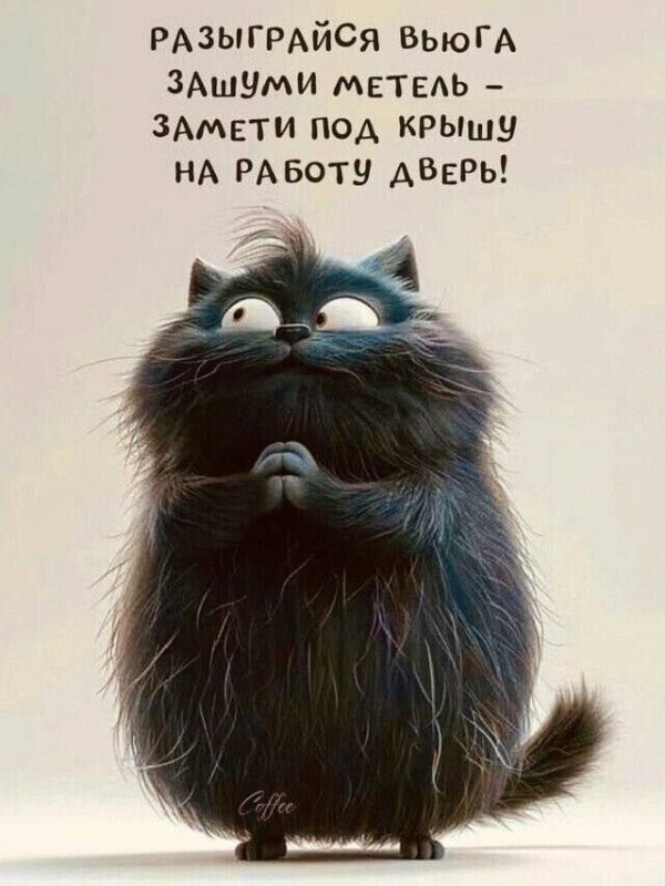 Солянка от 08.01.2026