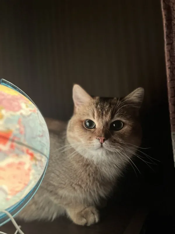 И это замечательно )