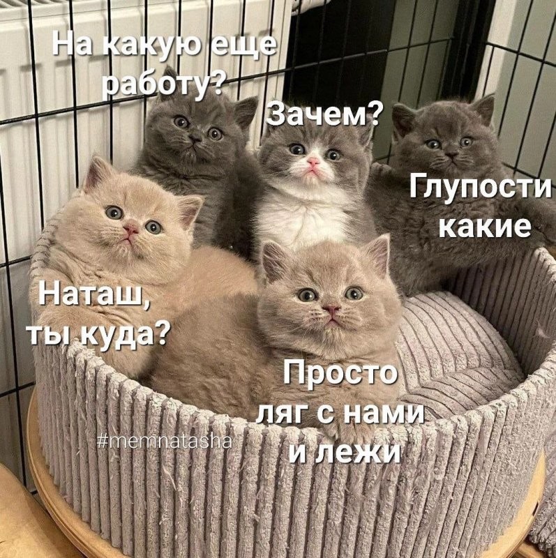 Солянка от 09.01.2026