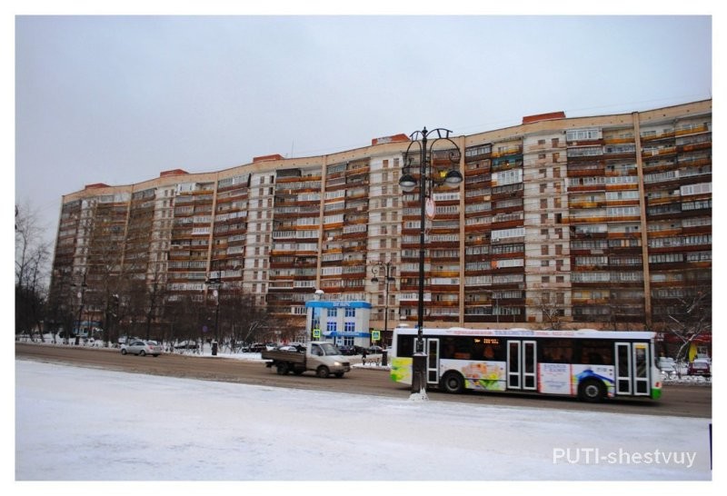 Муравейник