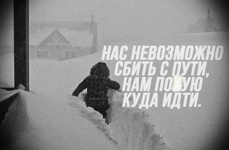 Вместо собаки)