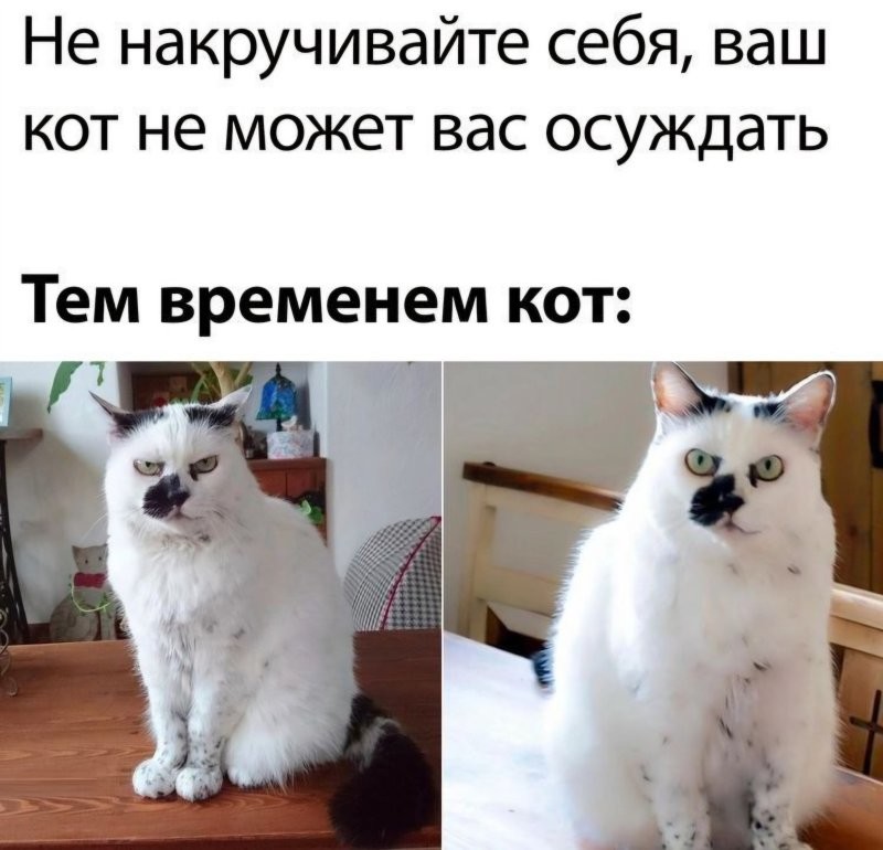 Солянка от 10.01.2026