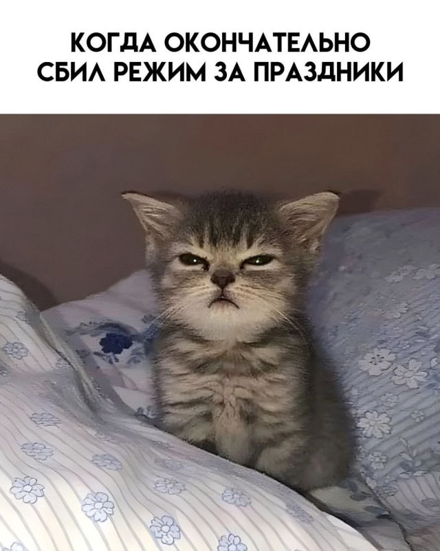 Доброго утра