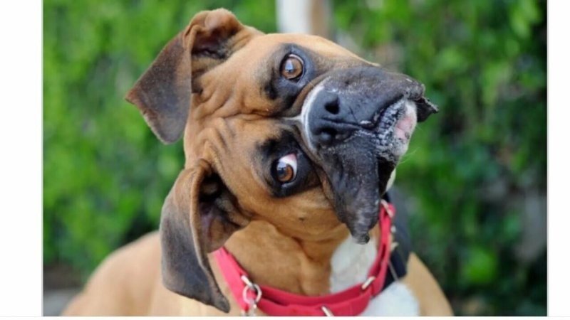 Солянка от 20.01.2026