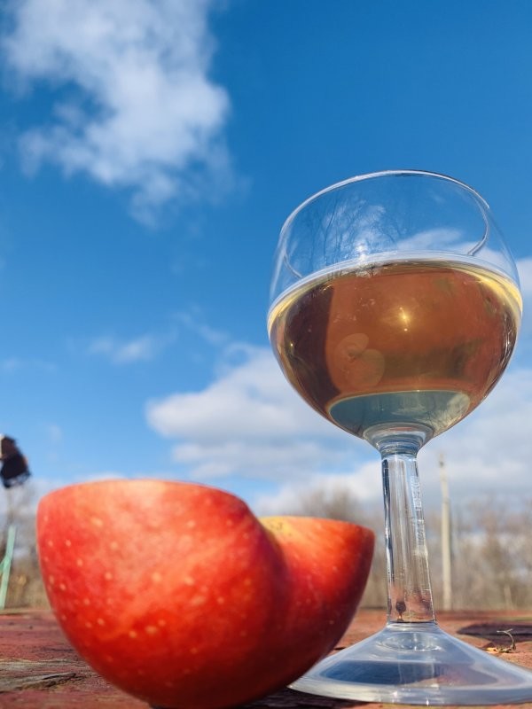 Немного солнца в холодном вине (с)